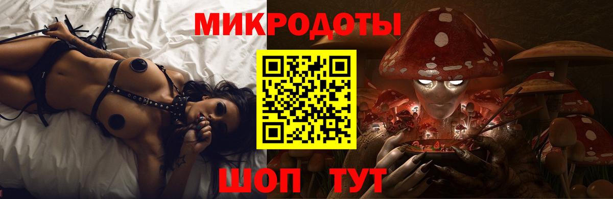 Галлюциногенные грибы Psilocybine cubensis Лабинск